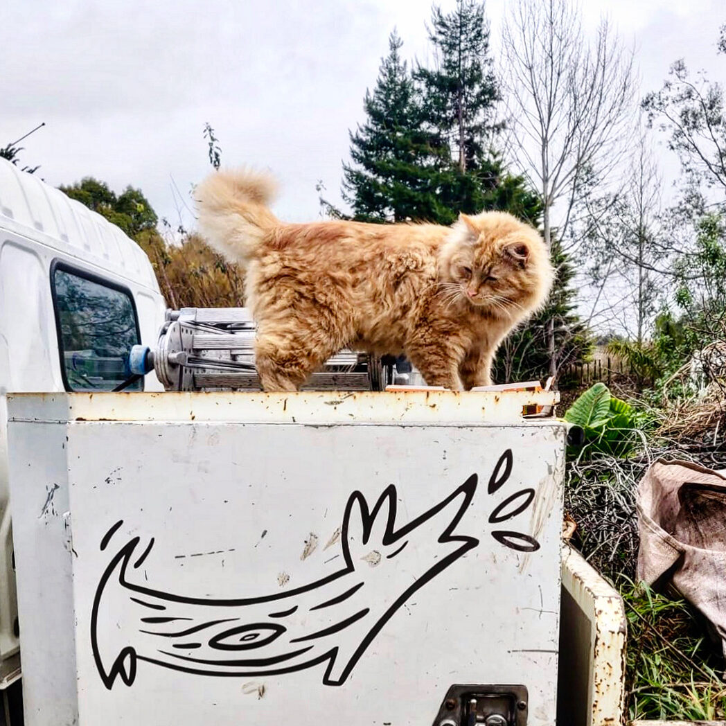 KitKat and Logdog